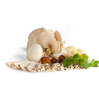 Funghi misti