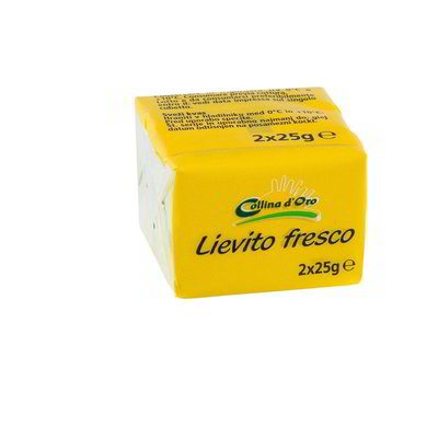 Lievito fresco 2 pezzi