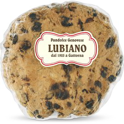 Pandolce genovese " Baciccia"