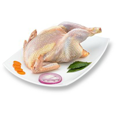 Gallina a busto