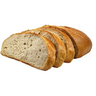 Pane basso di semola di grano duro da "Pane di Altamura DOP" affettato