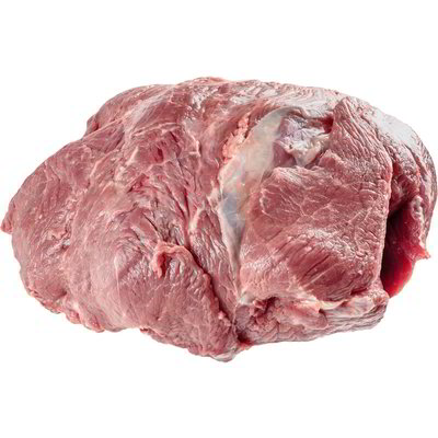 Fesotto di spalla equina