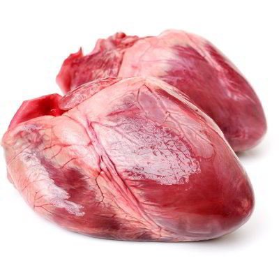 Cuori di suino