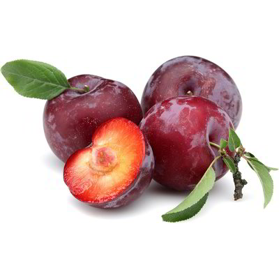 Susine rosse