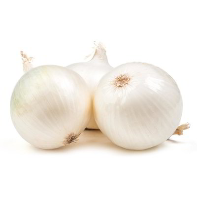 Cipolla bianca