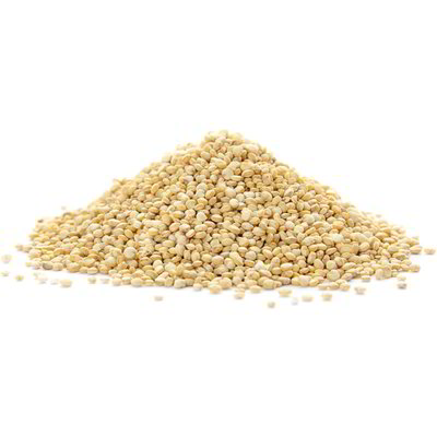 Semi di quinoa