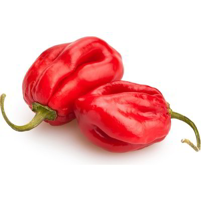 Peperoncino habanero