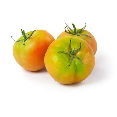 Pomodoro insalataro tondo
