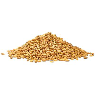 Grano duro precotto