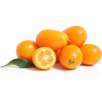 Kumquat