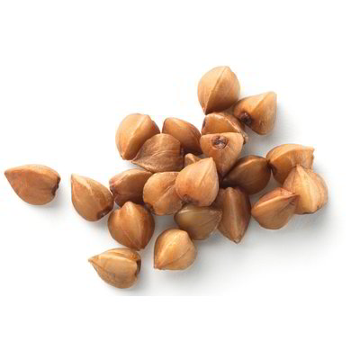 Grano saraceno