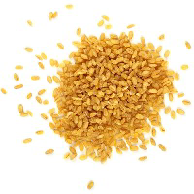 Bulgur
