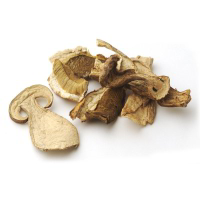 Funghi porcini secchi