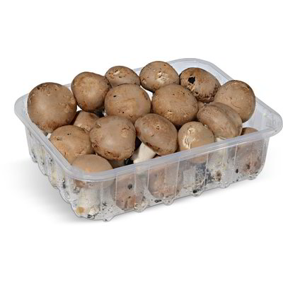 Funghi prataioli coltivati crema