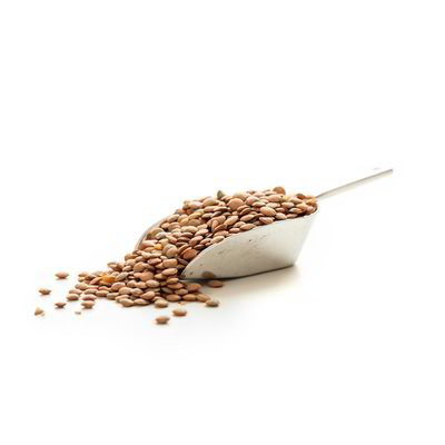 Lenticchie