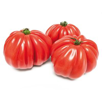 Pomodoro cuore di bue