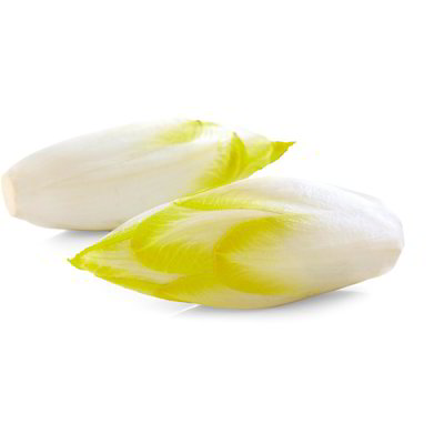 Indivia belga