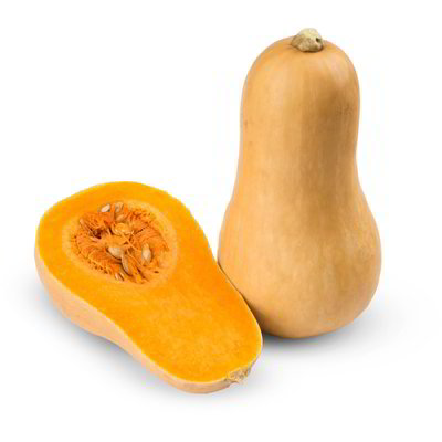 Zucca butternut