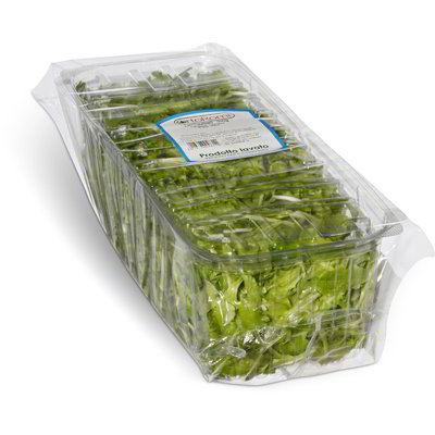 Insalata lattughino