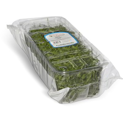 Rucola