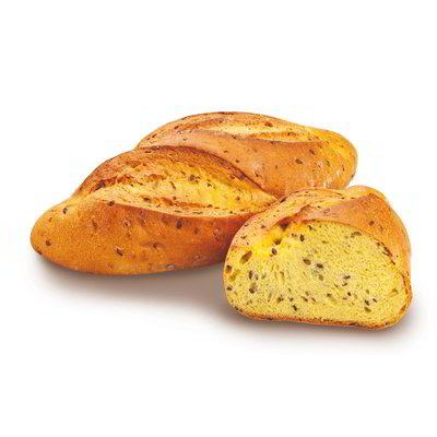 Ciabattina con curcuma e semi