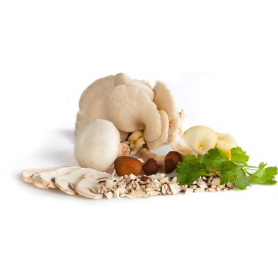 Funghi trifolati tagliati