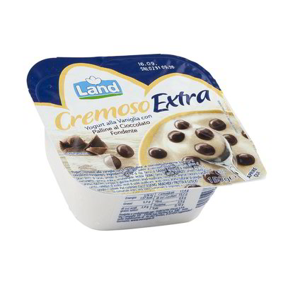 Yogurt alla vaniglia con palline al cioccolato fondente