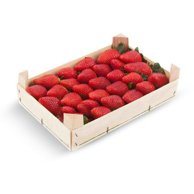 Fragole