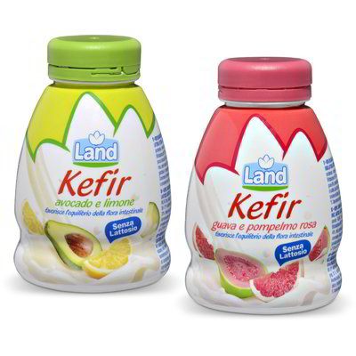 KEFIR DA BERE GUSTI ASSORTITI 200g