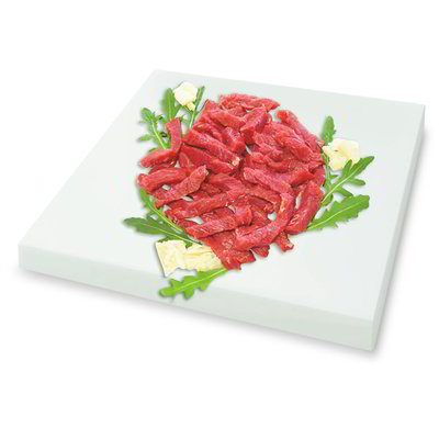 Straccetti di bovino adulto