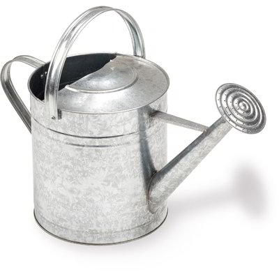 Innaffiatoio zincato 5 L