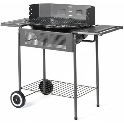 Barbecue a carbonella " Port Camargue"