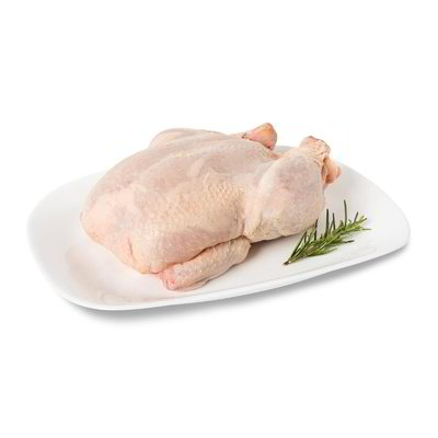 Busto di pollo