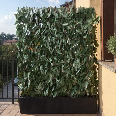 Siepe in salice 200x100 cm