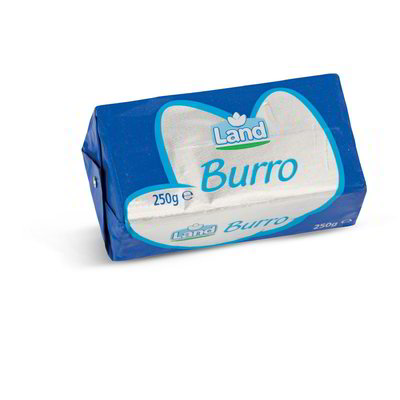 Burro