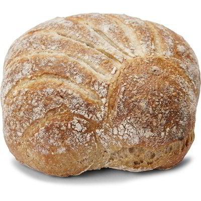 Pane conchiglia