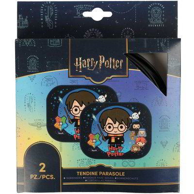Set 2 tendine laterali per auto "Harry Potter"