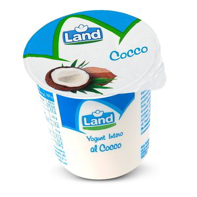 Yogurt intero al cocco