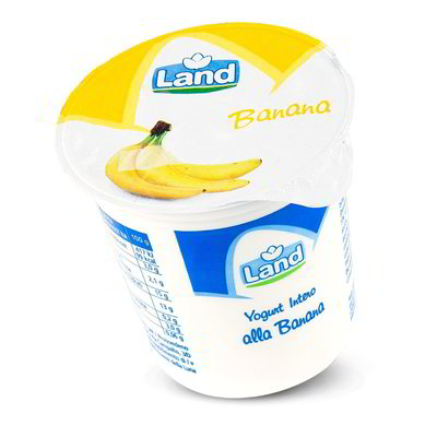 Yogurt intero alla banana