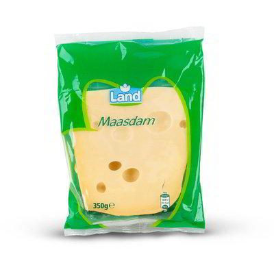 MAASDAM