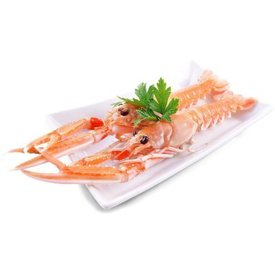 Scampi