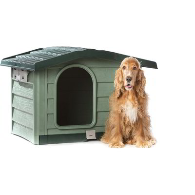 Cuccia Bungalow medium verde