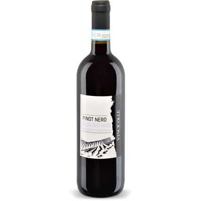 Vino Pinot nero dell'Oltrepò Pavese DOC