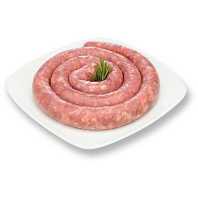 Salsiccia di suino fine