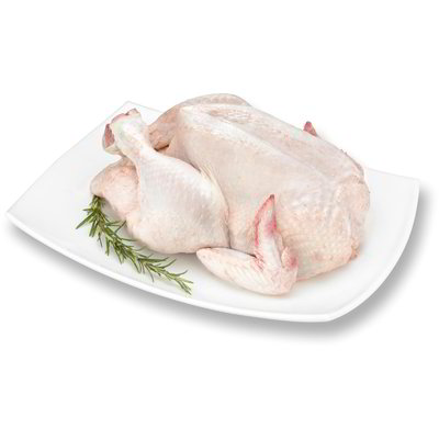 Pollastrone
