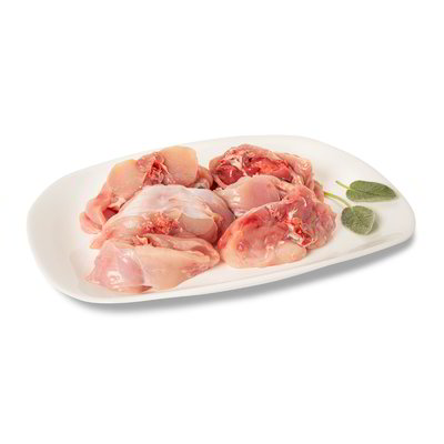 Coniglio a pezzi