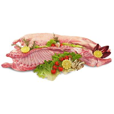 Agnello a pezzi