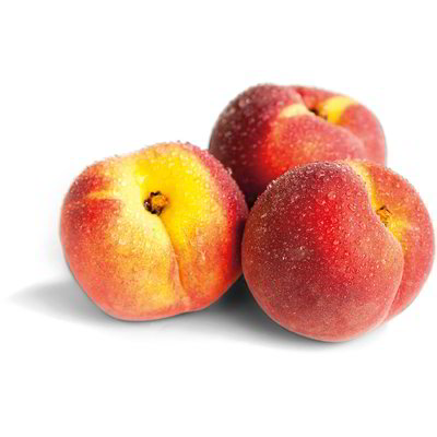 Pesche gialle