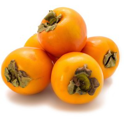 Cachi persimon