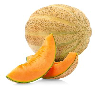 Meloni retati